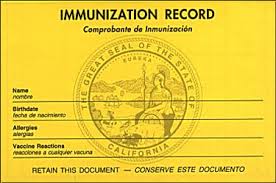 Vaccine Record on Phone